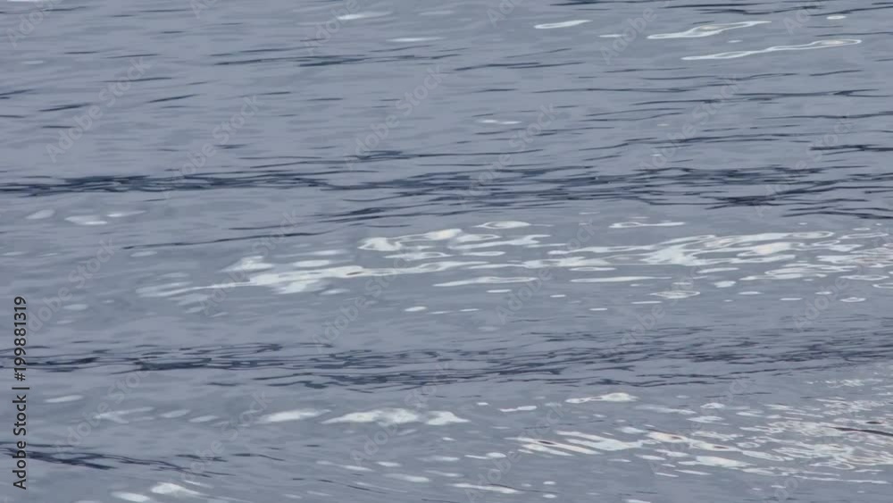 水面の揺らぎ 水面の揺らぎ