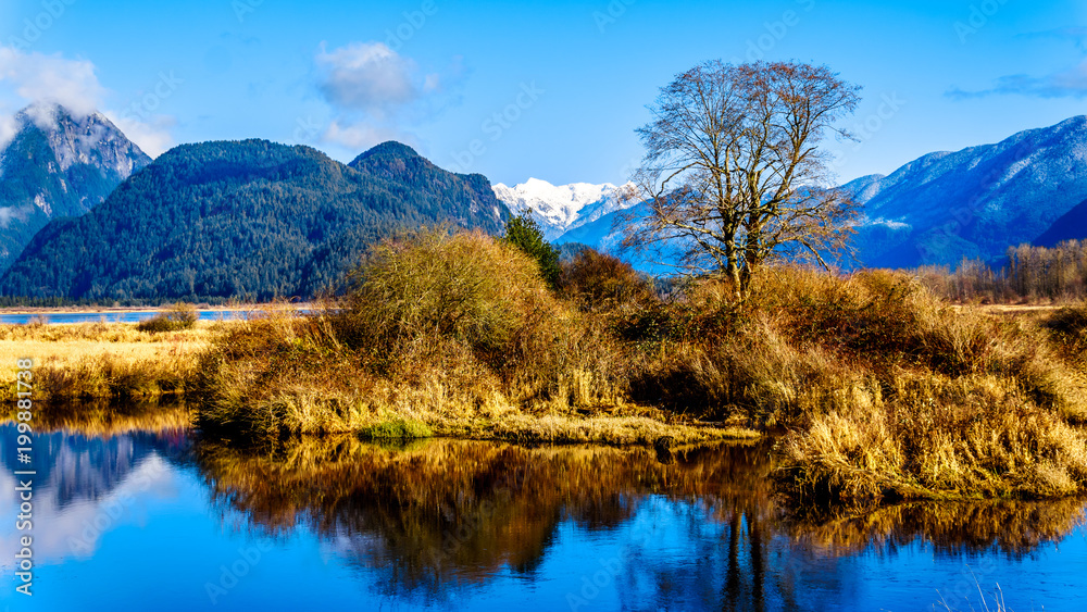 Snow covered peaks of Coquitlam Mountain and other peaks of the Coast Mountains surrounding the Pitt River and Pitt Lake in the Fraser Valley of British Columbia, Canada on a clear winter day