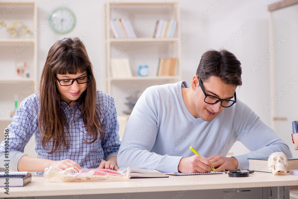 Two medical students studying in classroom Two medical students studying in classroom