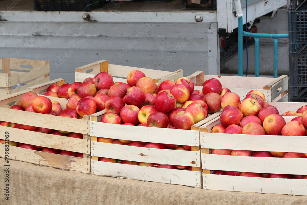 boxes of big red apples for sale boxes of big red apples for sale