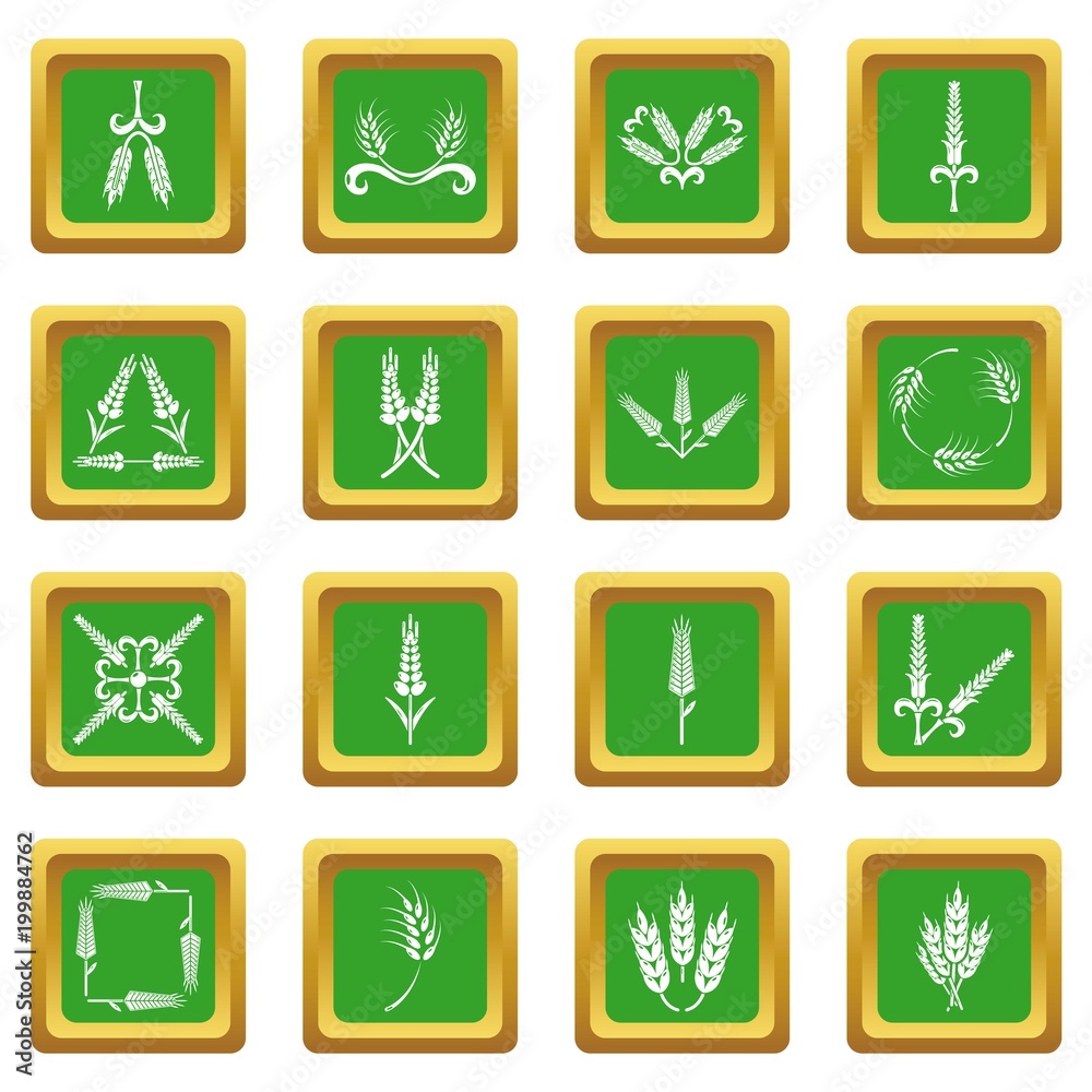 Ear corn icons set green square vector Ear corn icons set green square vector