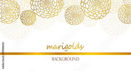 Vector white banner with golden marigolds