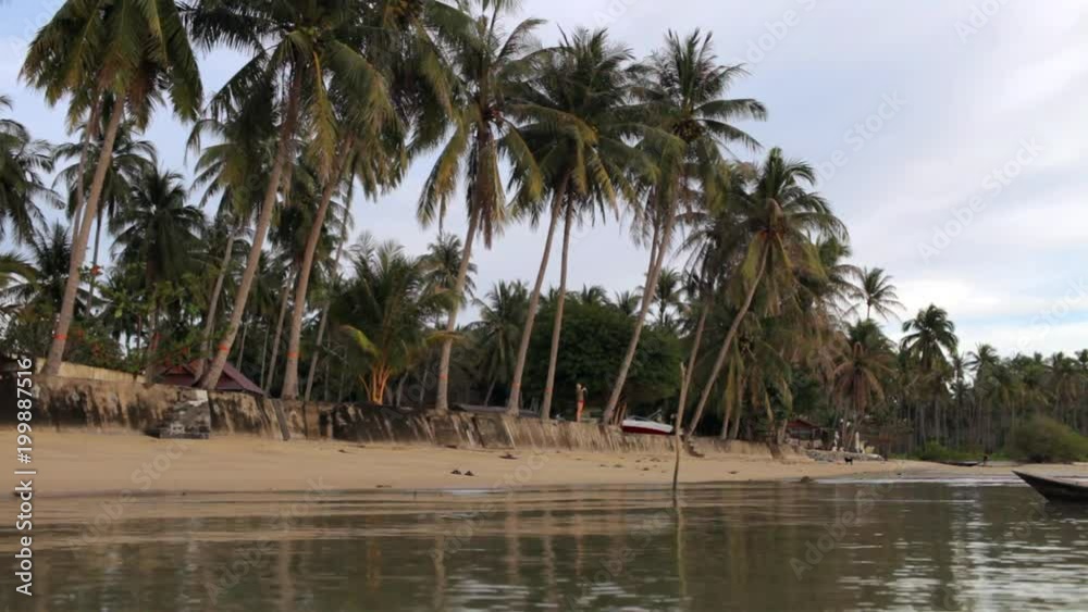 tropical beach with palm trees in the evening tropical beach with palm trees in the evening