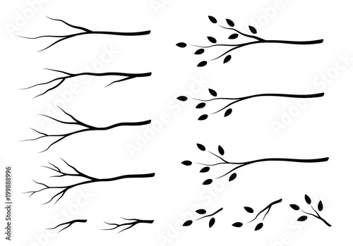 set of isolated tree branches with leaves