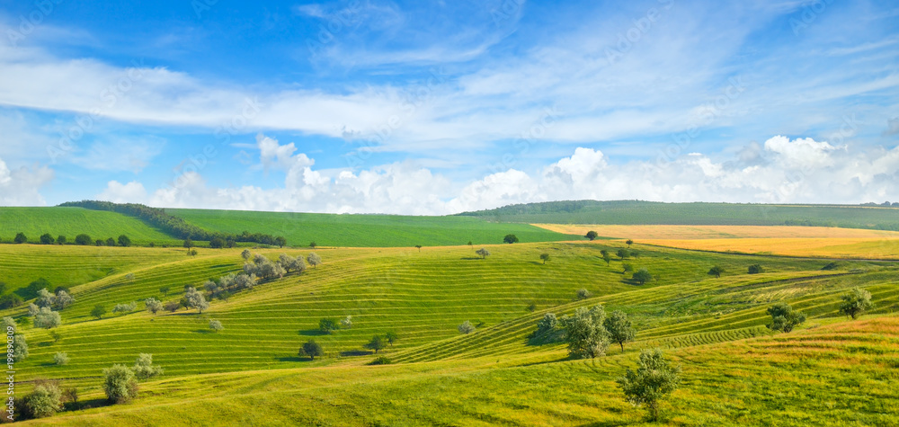 Green field and blue sky. Picturesque hills formed by an old river terrace. Moldova. Wide photo.