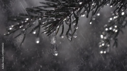 Fir branches with glittering icicles under falling heavy rain drops in extreme slow motion. Epic Christmas scene of magic forest in sunny day. Wonderful view of peaceful nature.
