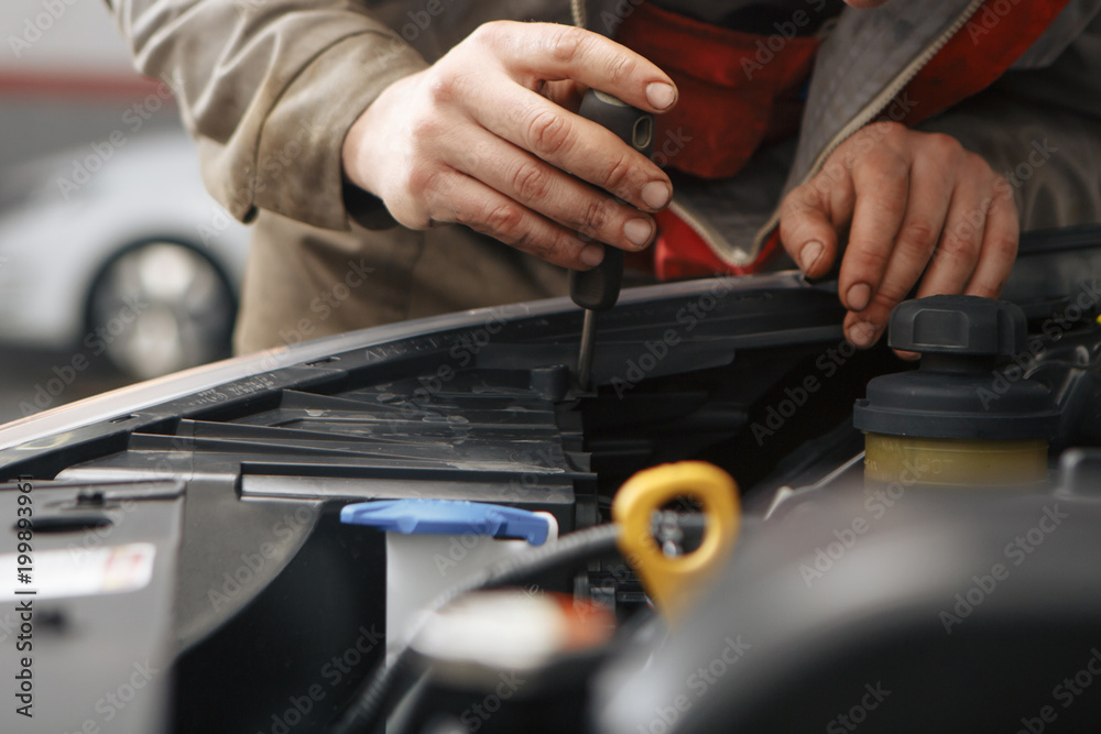 Technicians are checking car engines. Technicians are checking car engines.
