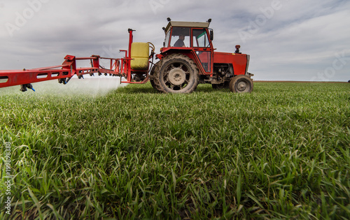 Tractor spraying pesticides on wheat field with sprayer at spring