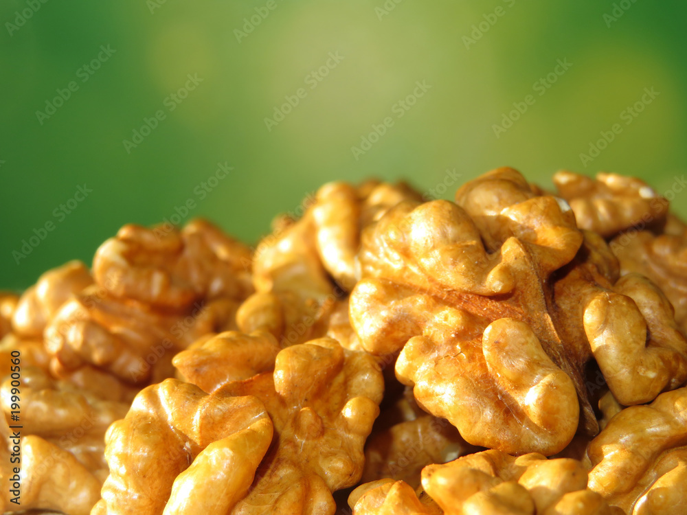 Fototapeta premium Walnut kernels on green natural background with free copy space