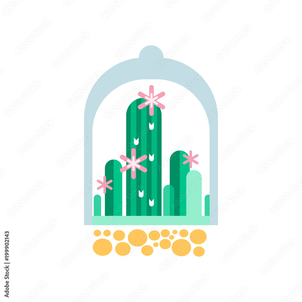 Fototapeta premium Green cactus plants with pink flowers under transparent dome. Flat vector icon of home succulents in glass florarium/terrarium. Botanical theme
