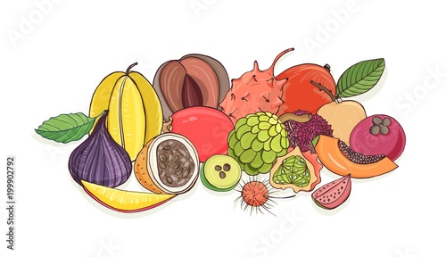 Ripe juicy tropical fruits lying together isolated on white background - tamarillo, passion fruit, mentega, fig, carambola, feijoa, papaya, longan, rambutan