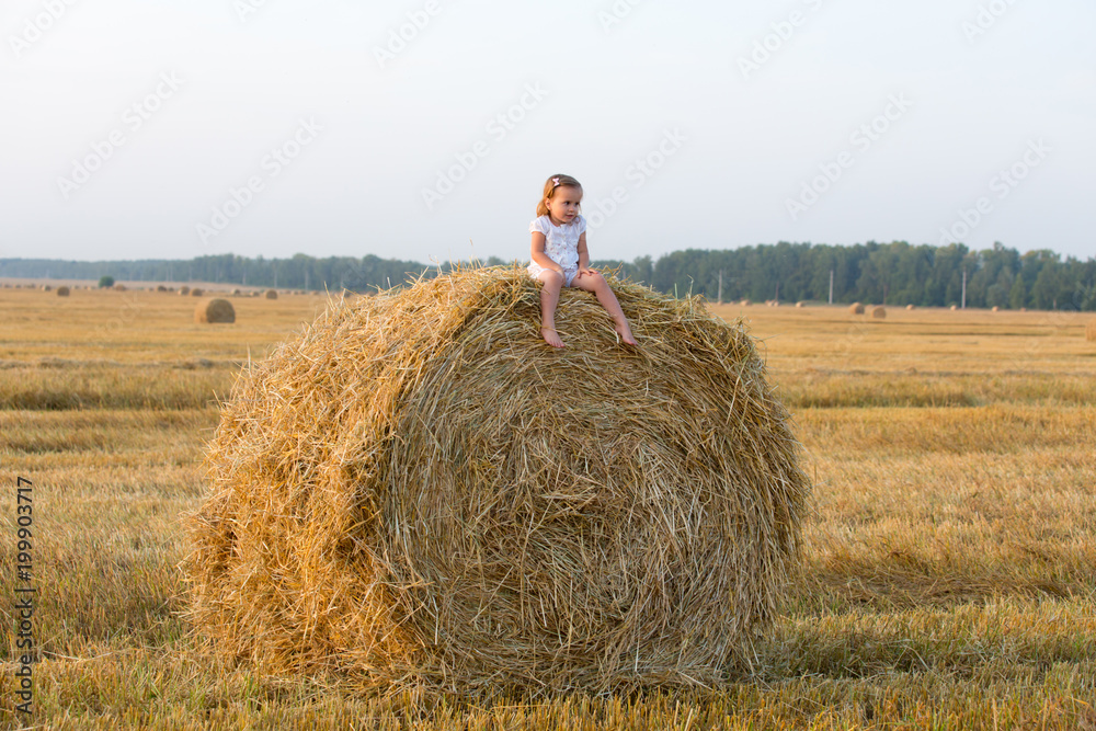 Little girl walking in the grain fields Little girl walking in the grain fields