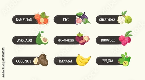 Collection of labels with delicious ripe fresh juicy exotic tropical fruits and their names. Bundle of tags with tasty raw vegan food isolated on white background. Bright colored vector illustration.