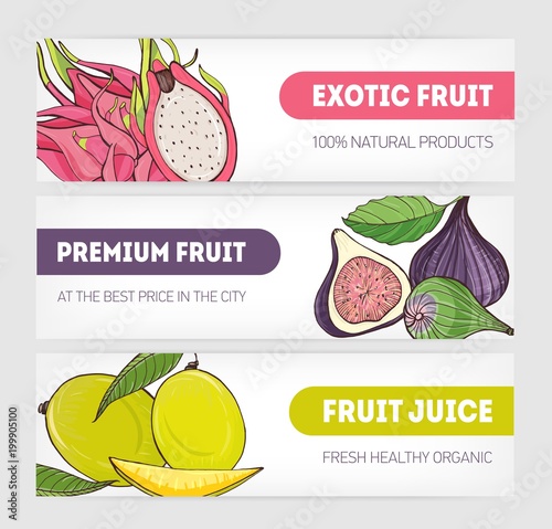 Set of horizontal banners decorated with pitaya or dragon fruit, fig and mang...