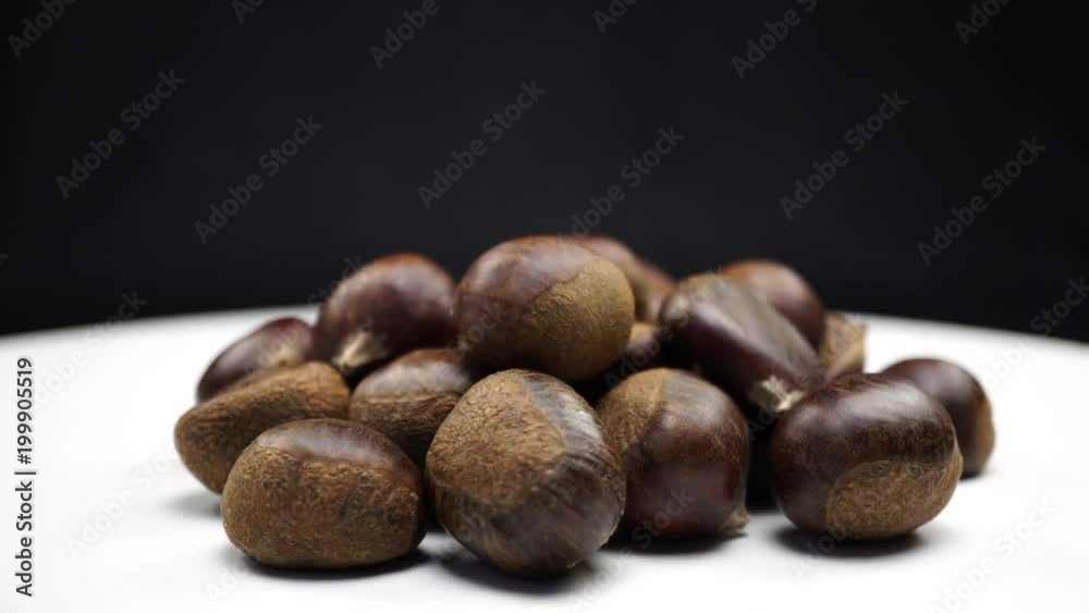 Sweet fresh chestnut with calybium rotates on table, Castanea sativa fall food. Typical autumnal fresh fruit rotates on background, close-up of forest harvest. 4K Sweet fresh chestnut with calybium rotates on table, Castanea sativa fall food. Typical autumnal fresh fruit rotates on background, close-up of forest harvest. 4K