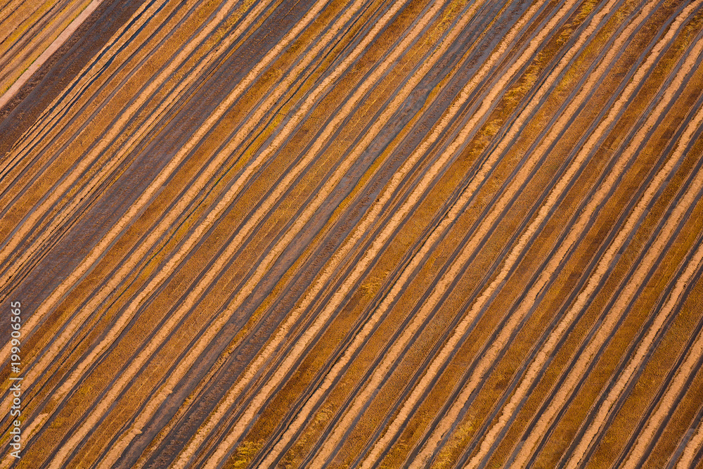 Aerial view of striped fields Aerial view of striped fields