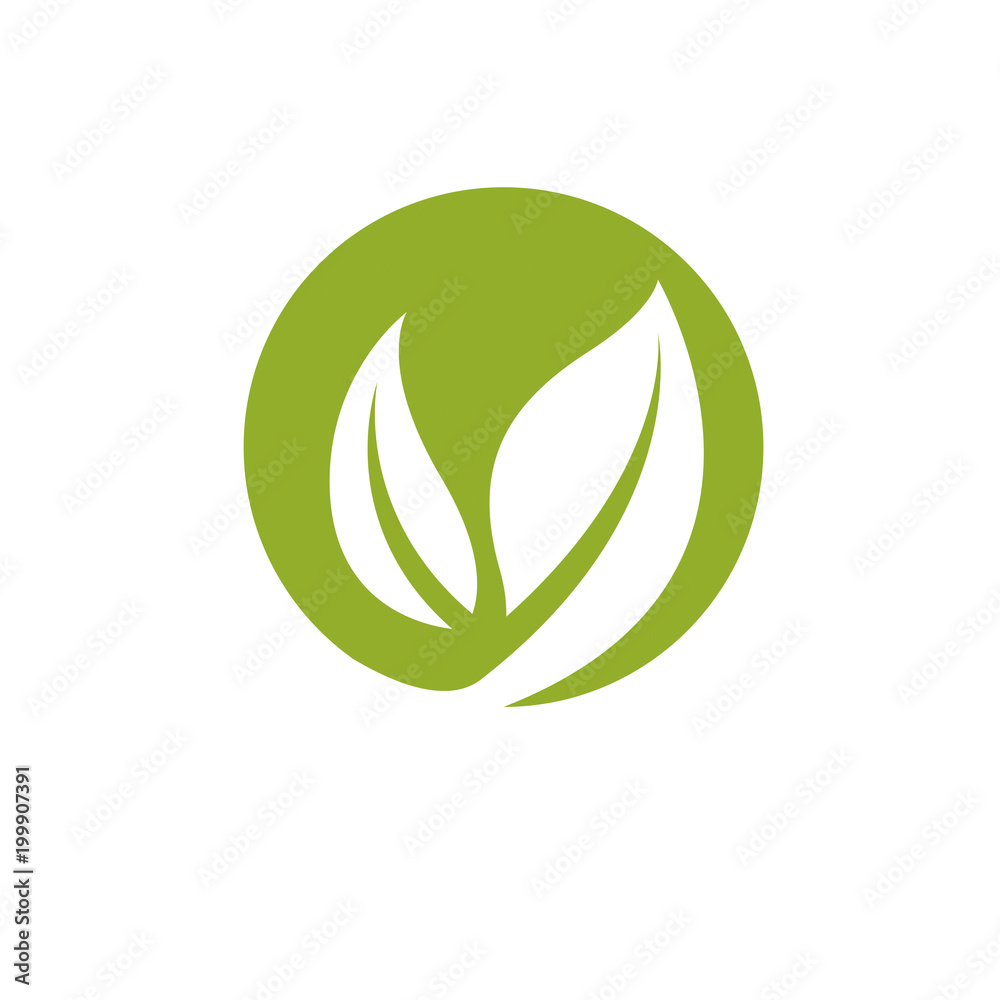 Vector spring leaves vector illustration. Alternative medicine concept, phytotherapy logo. Vector spring leaves vector illustration. Alternative medicine concept, phytotherapy logo.