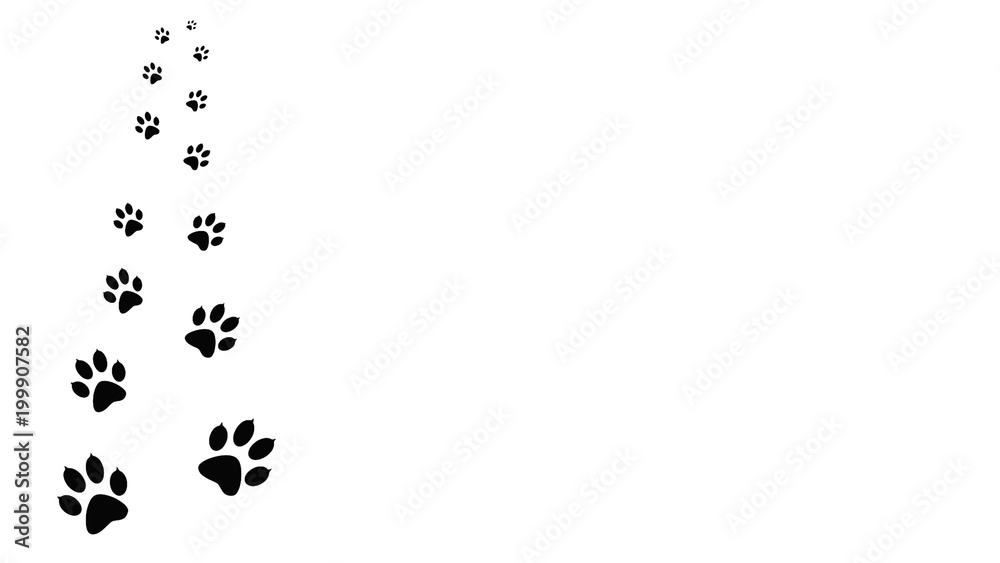 Obraz premium The paw prints of a walking animal. Traces isolated on background. 