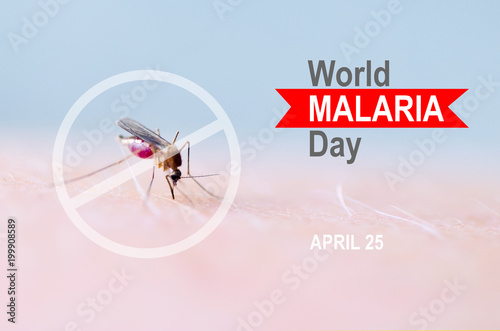 Stop  prohibit sign on mosquito bite human skin  Human blood in insect stomach. WORLD MALARIA DAY.