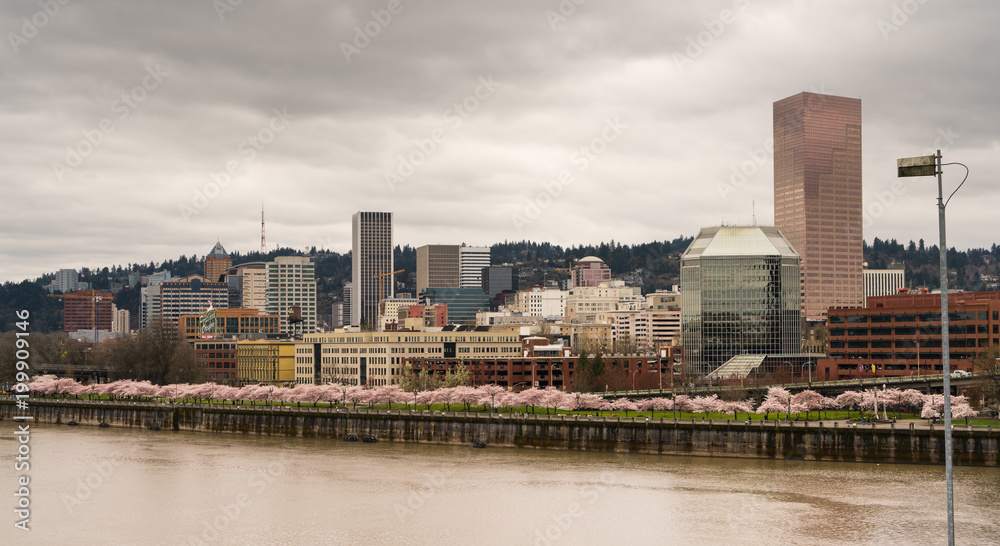 Downtown City Skyline Portland Oregon Willamette River Spring Blossoms