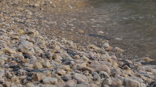 Waves calmly washing up rocky beach side view