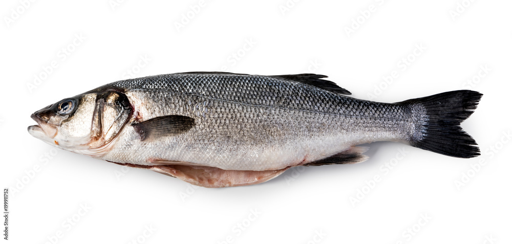 Raw Seabass Raw Seabass