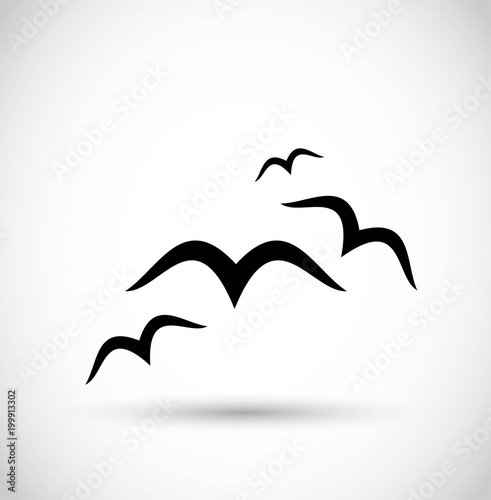 Seagull  birds icon vector