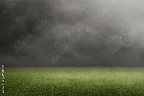 Soccer field with green grass