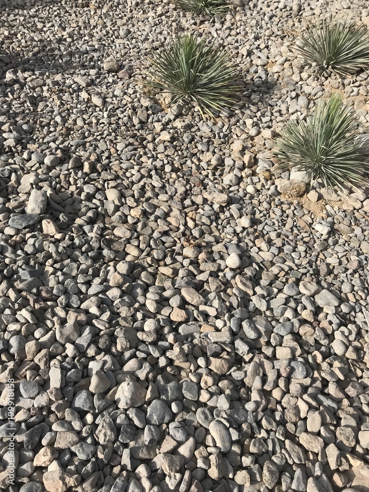 Ground stone grey background of many small stones. Ground stone grey background of many small stones.