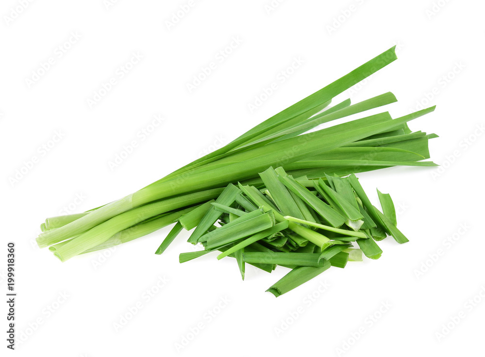 Garlic chives isolated on white background Garlic chives isolated on white background