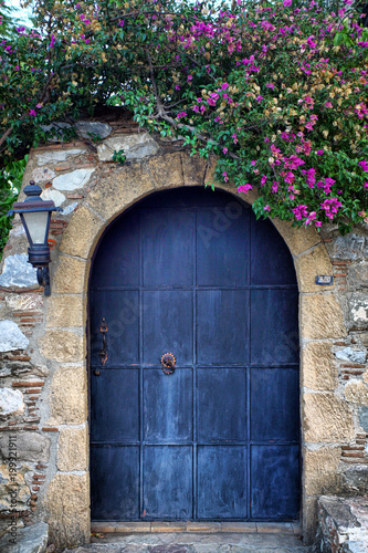 old retro wooden blue door and pink bougainvillea