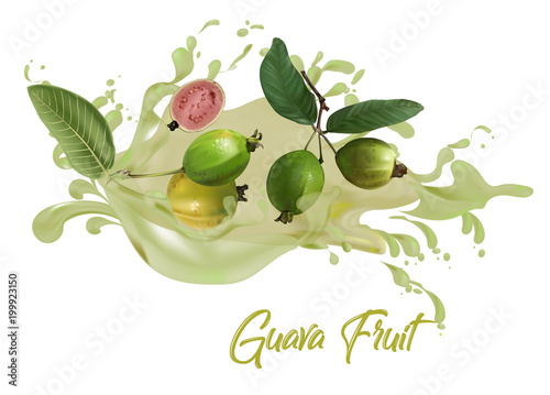 guava