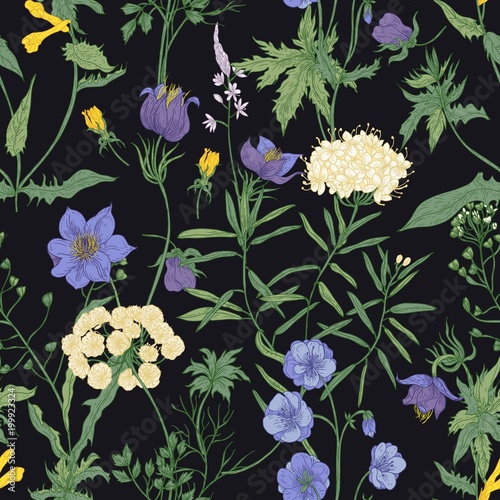 Floral seamless pattern with blooming wild flowers and meadow flowering plant...