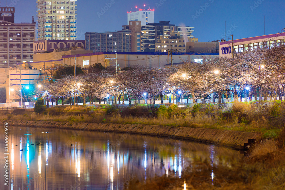 夜桜と地方都市夜景
