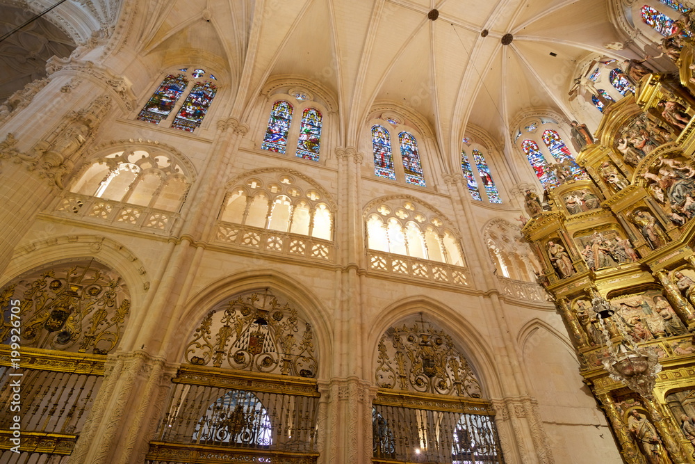 Fototapeta premium Burgos Cathedral view