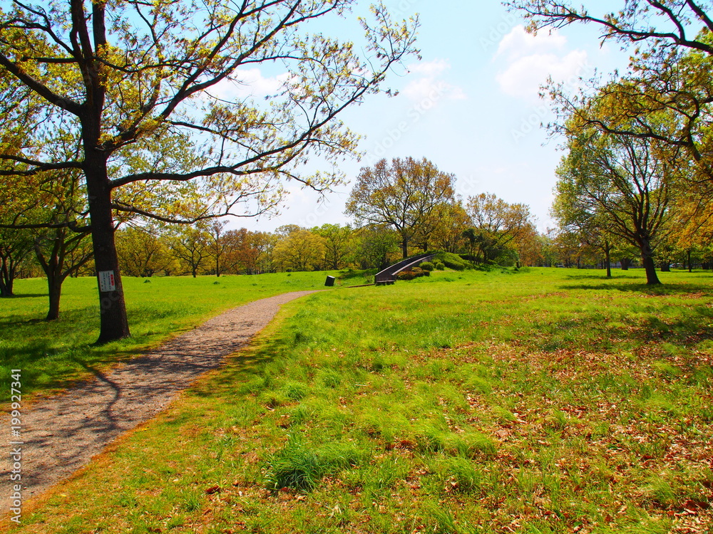 Fototapeta premium Cihba Kasori Shell Mound Remains Park