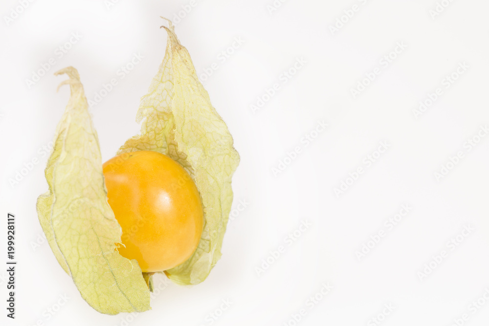 Golden berry, uchuva - Physalis peruviana Golden berry, uchuva - Physalis peruviana