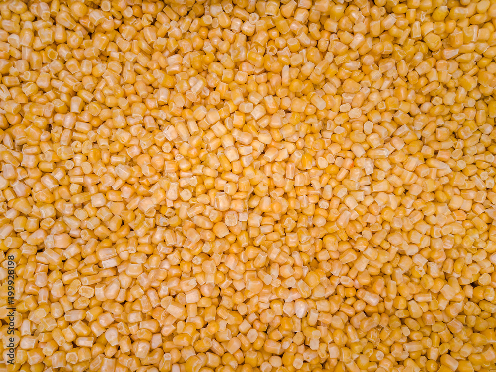 Corn texture. Yellow corns as background. Corn texture. Yellow corns as background.