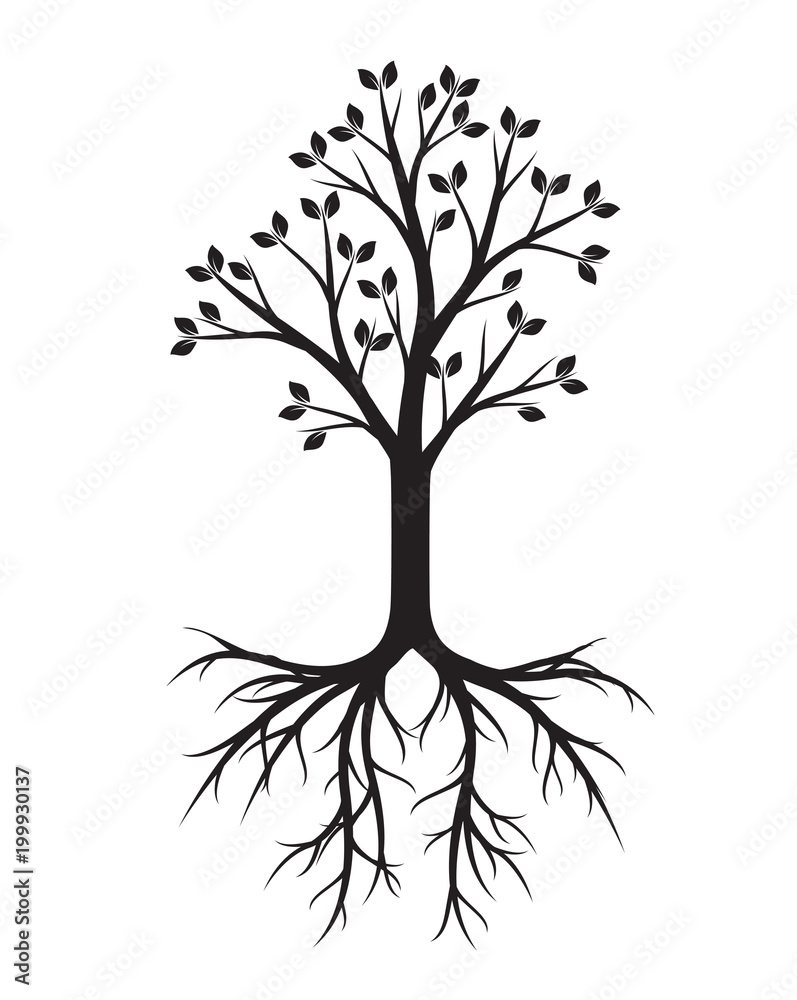Obraz premium Black Tree with Roots. Vector Illustration and graphic element.