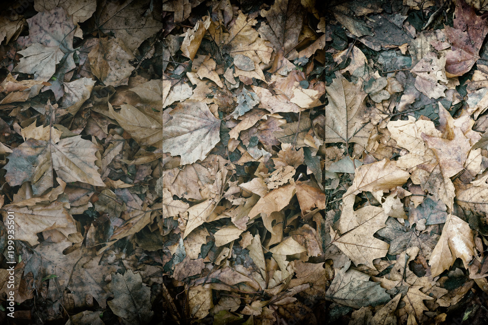Dirty autumn leaves, natural background for web site or mobile devices