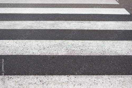 road marking pedestrian crossing close-up