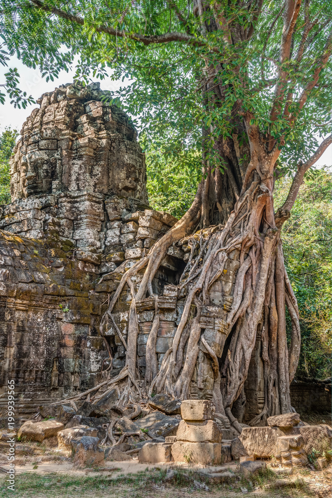 Cambodia Angkor Complex 360
