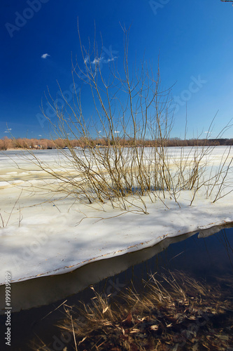 Fototapeta Naklejka Na Ścianę i Meble -  Spring. The last ice on the river. high water.