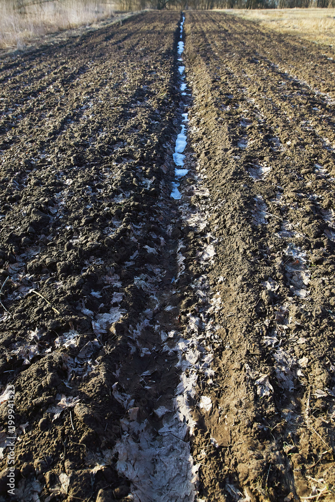 Spring is warm. the plowed field fell snow. Spring is warm. the plowed field fell snow.