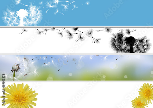Dandelion Website Banner in Four Different Versions - Colored Spring Illustrations, Vector