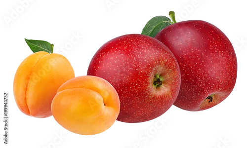 Fresh apricots and apples with leafs isolated on white background with clipping path