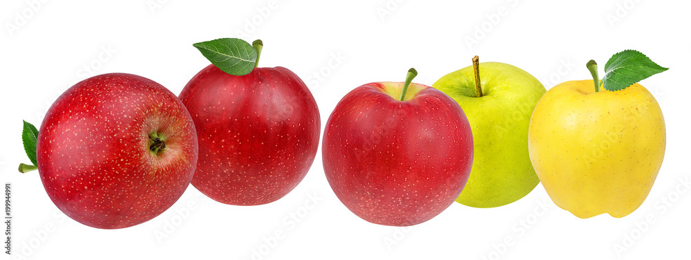 Fresh red green and yellow apples with leaf isolated on white background with clipping path Fresh red green and yellow apples with leaf isolated on white background with clipping path