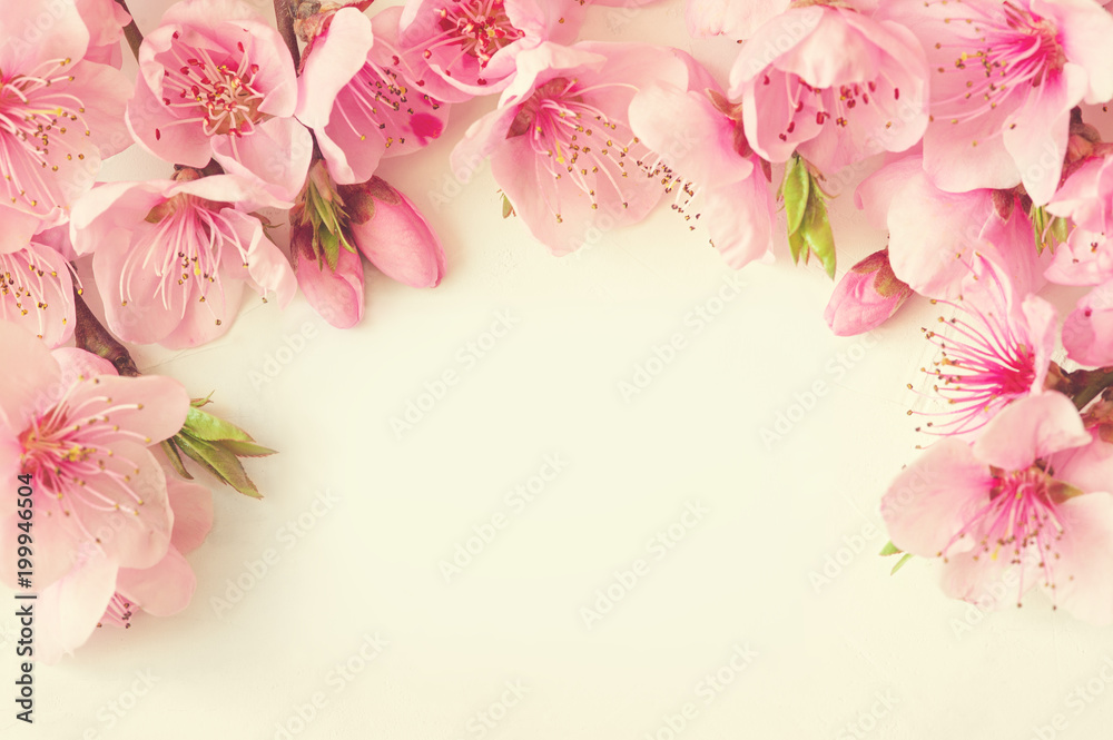 Frame of pink flowers, branches, leaves and lilac petals on white background. Flat lay, top view