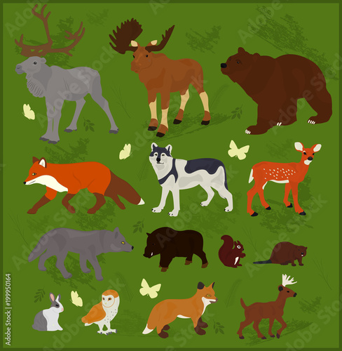 Set of forest animals on a green background
