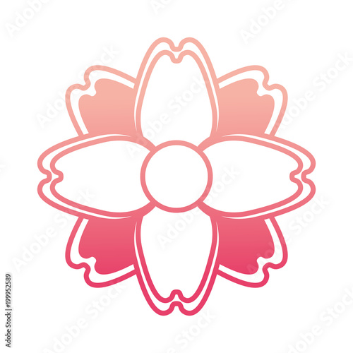 cute flower decorative icon vector illustration design